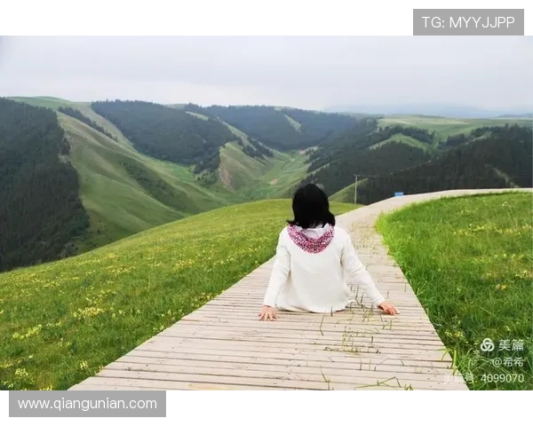 ✅体育直播🏆世界杯直播🏀NBA直播⚽- 给草原放个假~祁连山20万头牛羊要下山“借牧”啦- sports